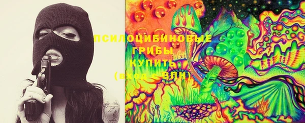 молекула духа Красноперекопск