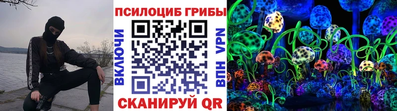 блэк спрут зеркало  Ишимбай  Псилоцибиновые грибы Magic Shrooms 